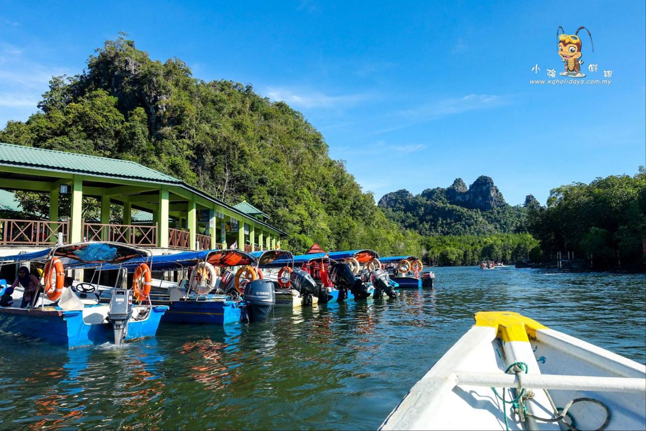 Jelajahi Ekosistem Unik Langkawi dalam Mangrove Tour yang Menawan